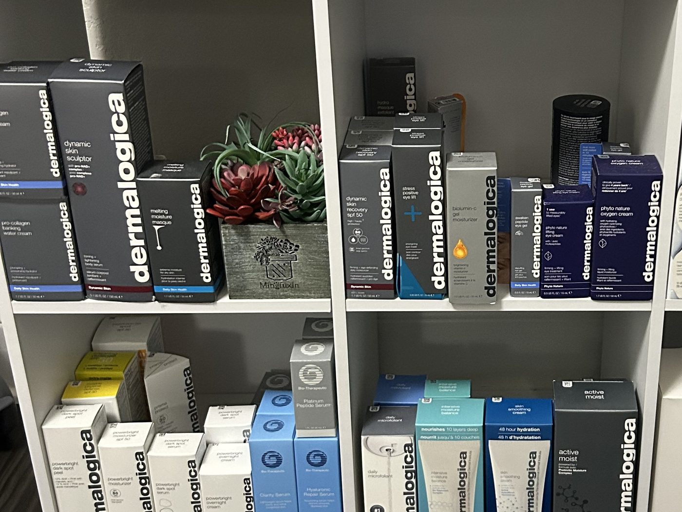 Dermalogica skincare on the studio's retail shelf